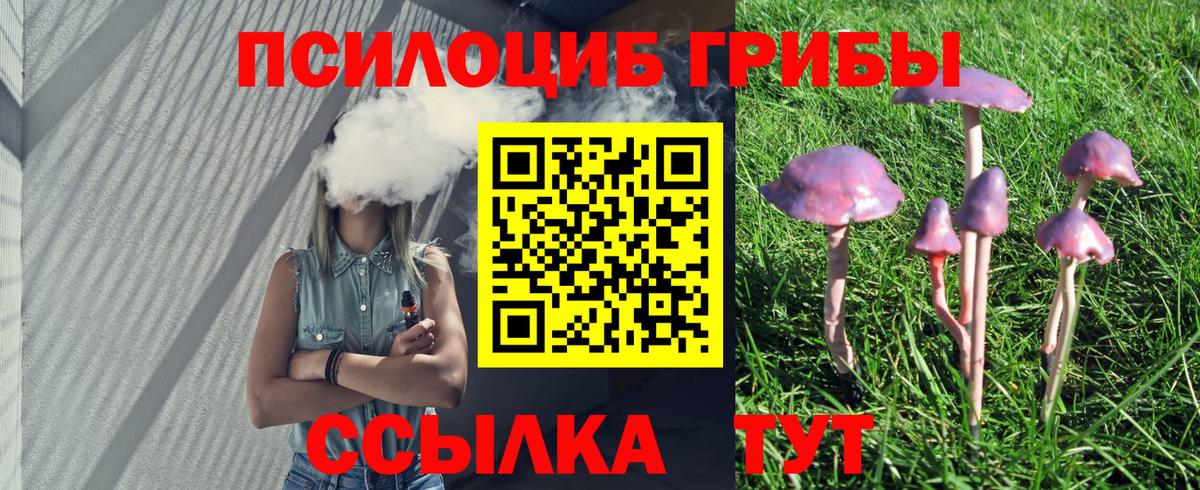 Псилоцибиновые грибы ЛСД  Псилоцибиновые грибы MAGIC MUSHROOMS  наркошоп  Вход с VPN  Ижевск 