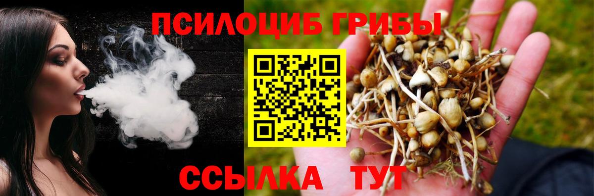 Галлюциногенные грибы GOLDEN TEACHER Ижевск
